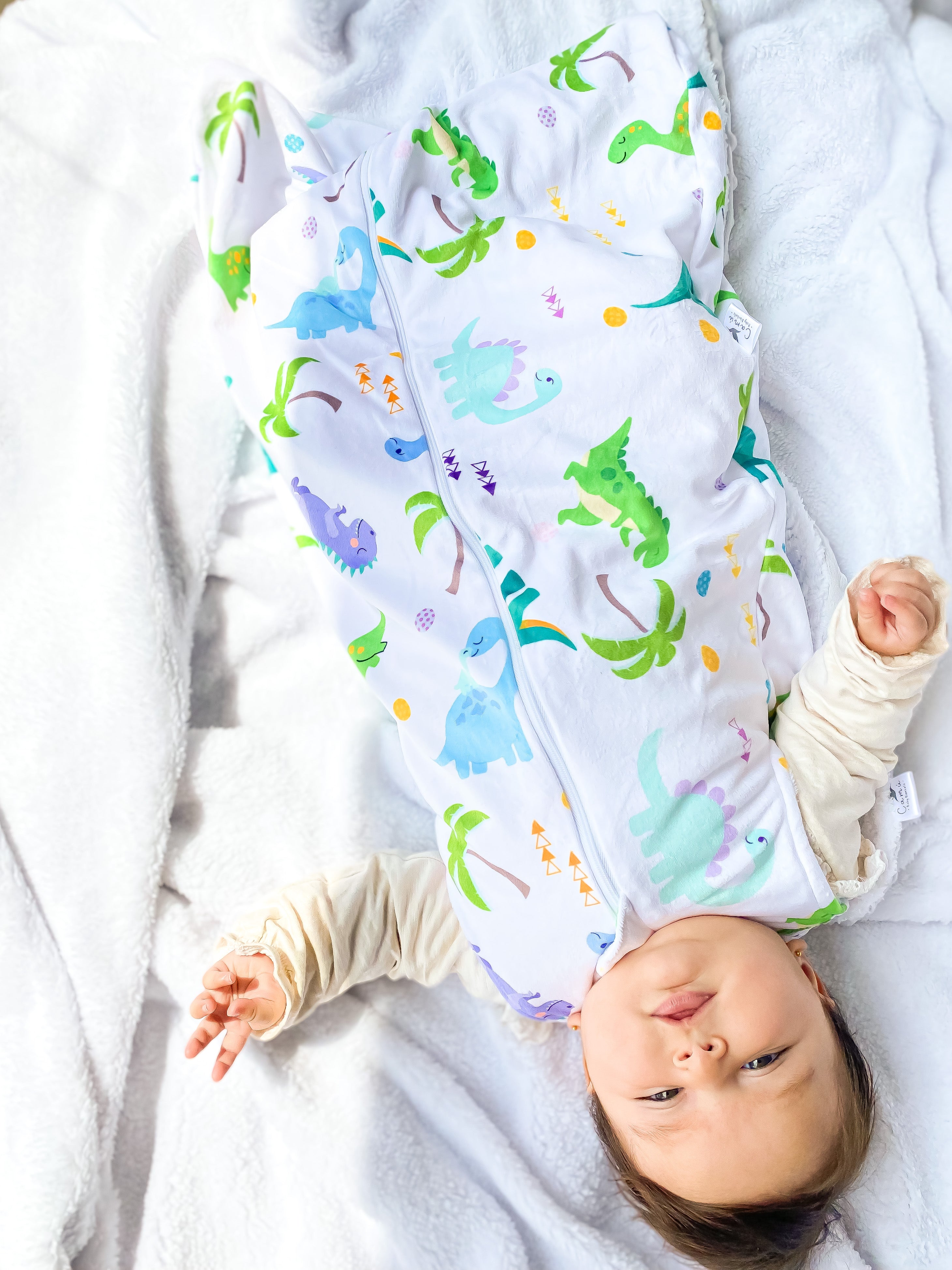 Sleeping bag para Recién Nacido (0-6 meses) - Dinosaurios